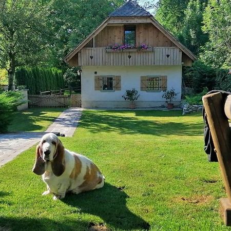Vila Jana Radovljica Exterior foto